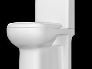 two piece rounded rectangle shape ewc toilet modeled in 3ds max 3D Модель