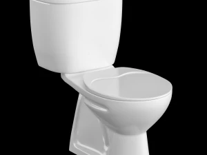 3डीएस मैक्स में मॉडल किया गया दो टुकड़ा अंडाकार आकार का ईडब्ल्यूसी शौचालय 3D मॉडल