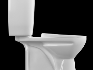 two piece oval shape ewc toilet modeled in 3ds max 3D Model