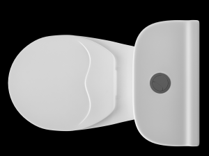 two piece oval shape ewc toilet modeled in 3ds max 3D Model