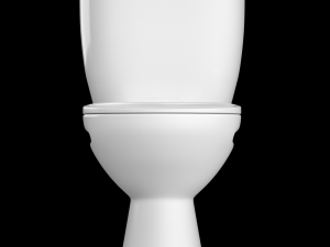 two piece oval shape ewc toilet modeled in 3ds max 3D Model