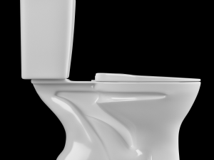 two piece oval shape ewc toilet modeled in 3ds max 3D Model
