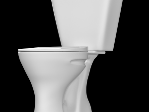 two piece oval shape ewc toilet modeled in 3ds max 3D Model