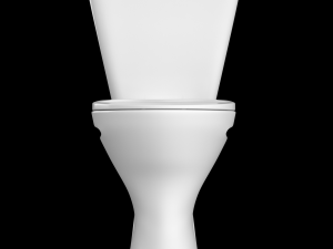 two piece oval shape ewc toilet modeled in 3ds max 3D Model