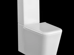 3डीएस मैक्स में निर्मित दो टुकड़े आयताकार आकार ईडब्ल्यूसी शौचालय 3D मॉडल