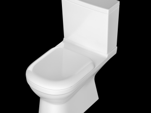 two piece square shape ewc toilet modeled in 3ds max 3D Model