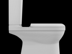 two piece square shape ewc toilet modeled in 3ds max 3D Model