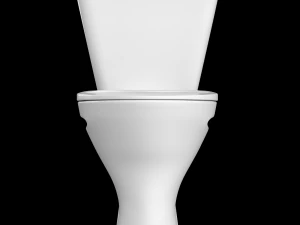 two piece oval ewc toilet modeled in 3ds max 3D Model