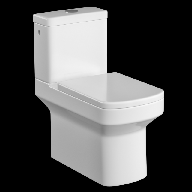 two piece rounded rectangle shape ewc toilet modeled in 3ds max 3D Model .c4d .max .obj .3ds .fbx .stl .blend 