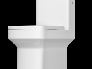 two piece rounded rectangle shape ewc toilet modeled in 3ds max 3D Model