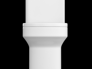 two piece rounded rectangle shape ewc toilet modeled in 3ds max 3D Model