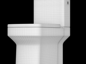 two piece rounded rectangle shape ewc toilet modeled in 3ds max 3D Model