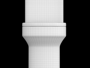 two piece rounded rectangle shape ewc toilet modeled in 3ds max 3D Model
