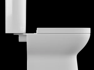 two piece rounded rectangle shape ewc toilet modeled in 3ds max 3D Model