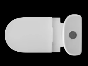 two piece rounded rectangle shape ewc toilet modeled in 3ds max 3D Model