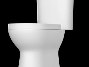 two piece rounded rectangle shape ewc toilet modeled in 3ds max 3D Model