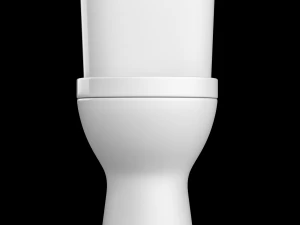 two piece rounded rectangle shape ewc toilet modeled in 3ds max 3D Model