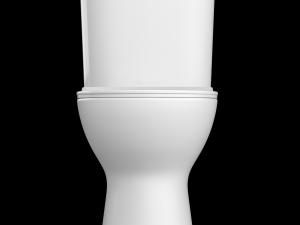 two piece rounded rectangle shape ewc toilet modeled in 3ds max 3D 模型