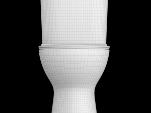 two piece rounded rectangle shape ewc toilet modeled in 3ds max 3D 模型