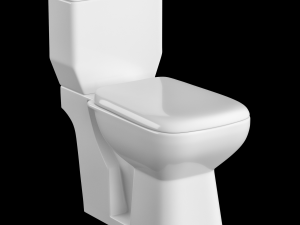 two piece rectangle shape ewc toilet modeled in 3ds max Model 3D