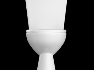 two piece oval shape ewc toilet modeled in 3ds max 3Dモデル