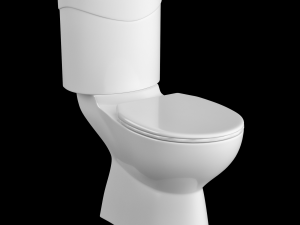 two piece oval shape ewc toilet modeled in 3ds max 3D Model