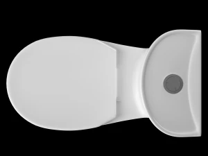 two piece oval shape ewc toilet modeled in 3ds max 3D Model