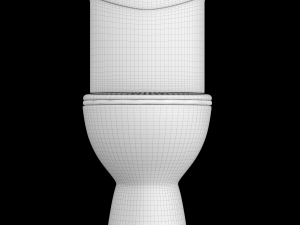 two piece oval shape ewc toilet modeled in 3ds max 3D 모델