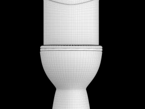 two piece oval shape ewc toilet modeled in 3ds max 3D Model