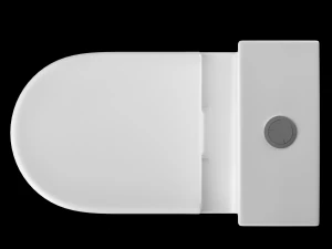 two piece ewc toilet modeled in 3ds max 3D Model