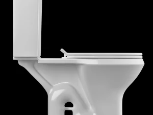 two piece oval shape ewc toilet modeled in 3ds max 3D Model