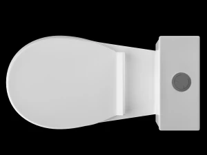 two piece oval shape ewc toilet modeled in 3ds max 3D Model