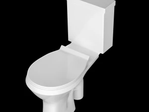 two piece oval shape ewc toilet modeled in 3ds max 3D Model