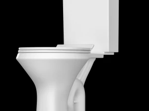 two piece oval shape ewc toilet modeled in 3ds max 3D Model