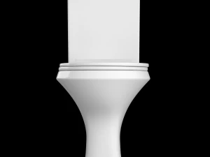 two piece oval shape ewc toilet modeled in 3ds max 3D Model