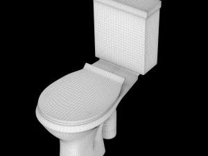 two piece oval shape ewc toilet modeled in 3ds max 3D Model