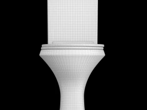 two piece oval shape ewc toilet modeled in 3ds max 3D Model