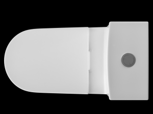two piece ewc toilet modeled in 3ds max Model 3D