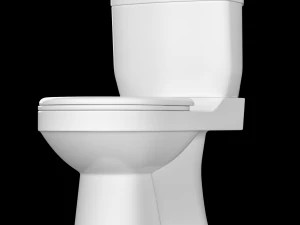 two piece oval shape ewc toilet modeled in 3ds max 3D Model