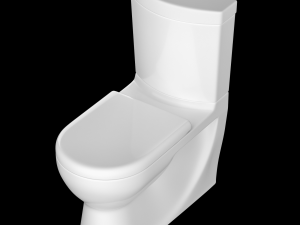 two piece ewc toilet modeled in 3ds max 3D Model