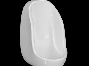 urinal modeled in 3ds max 3D Model