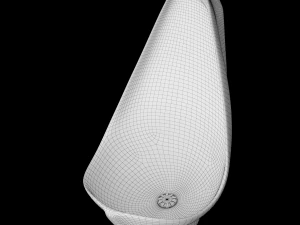 urinal modeled in 3ds max 3D Model