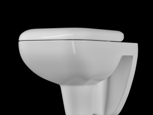 wall hung water closet toilet modeled in 3ds max Model 3D