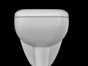 wall hung water closet toilet modeled in 3ds max Model 3D