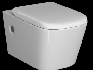 wall hung water closet toilet modeled in 3ds max 3D Model