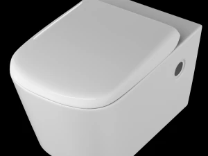 wall hung water closet toilet modeled in 3ds max 3D Model