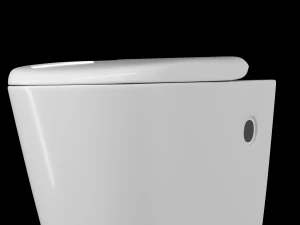 wall hung water closet toilet modeled in 3ds max 3D Model