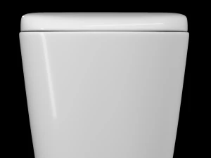 wall hung water closet toilet modeled in 3ds max 3D Model