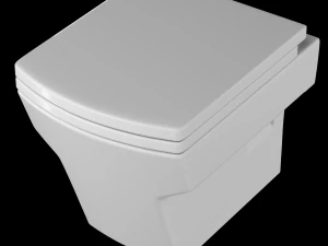 दीवार पर लटका हुआ वॉटर क्लॉज़ेट शौचालय 3डीएस मैक्स में तैयार किया गया है 3D मॉडल