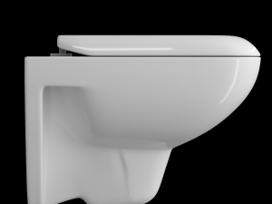 wall hung water closet toilet modeled in 3ds max 3D Модель